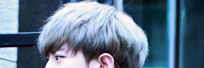 hect. banner