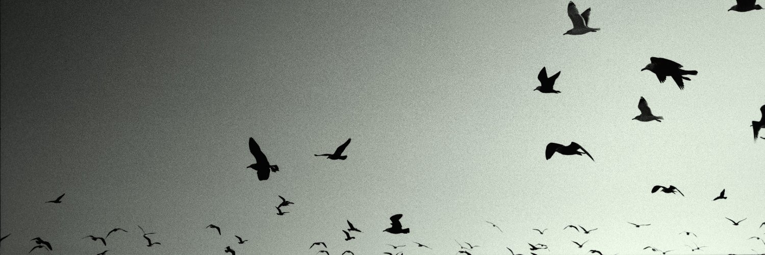 diegotlan's profile banner image