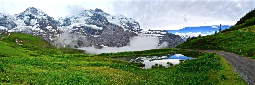 Rebecca E. Wolitz banner