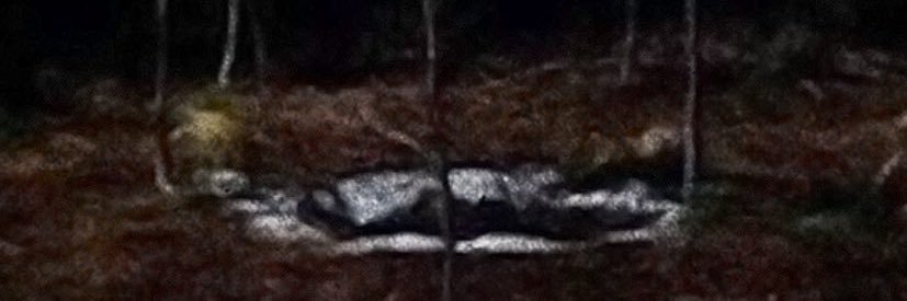 #1 mr. c HATER's banner