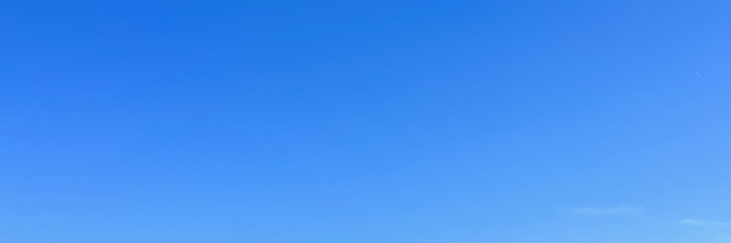 layanalisboa_'s profile banner image
