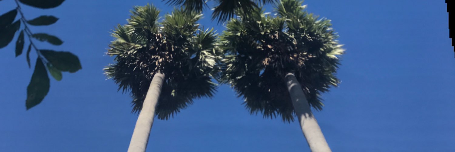 MGabefarrell's profile banner image