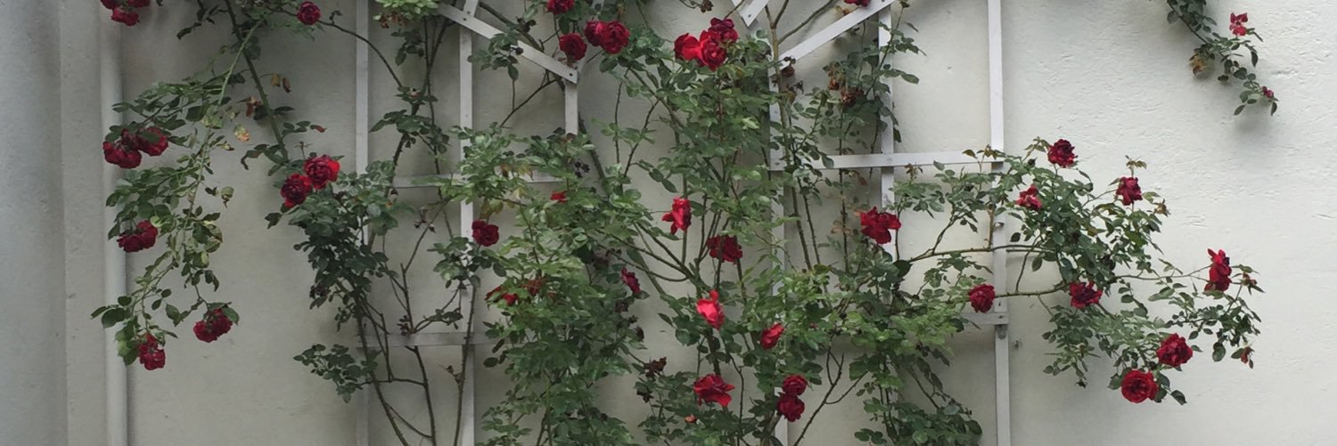 KennedyCook51's profile banner image