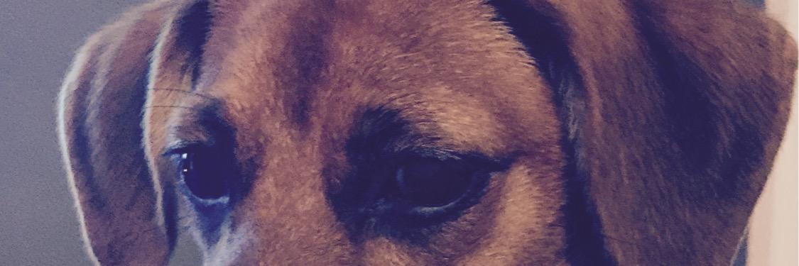 LisaLisa621's profile banner image