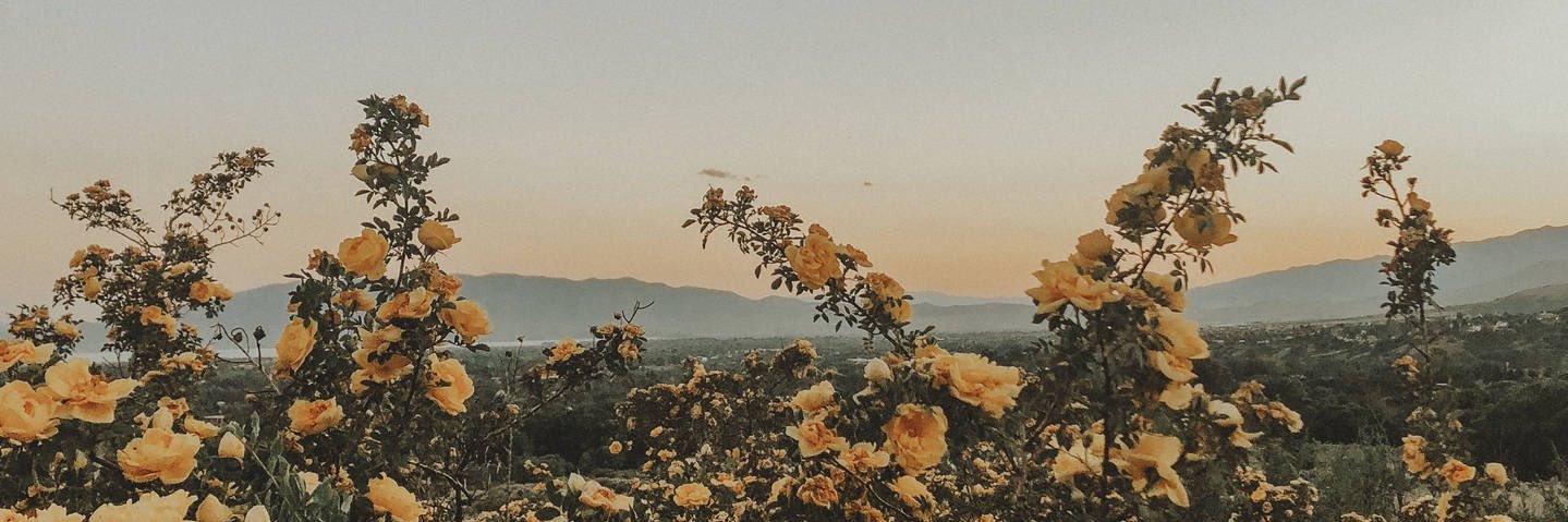 brookjtomlin's profile banner image