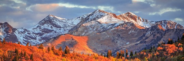 ricklarsen_ Profile Banner