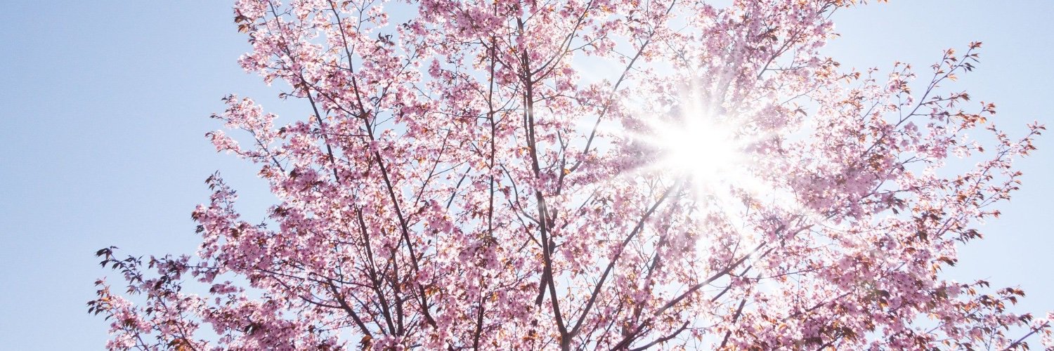 StyledByOmiOmy's profile banner image