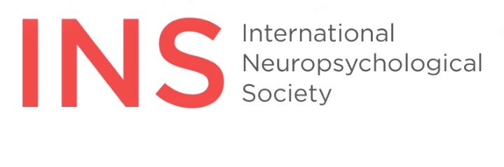INS's banner
