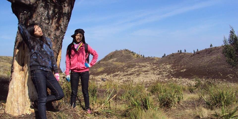 faustaaurara's profile banner image