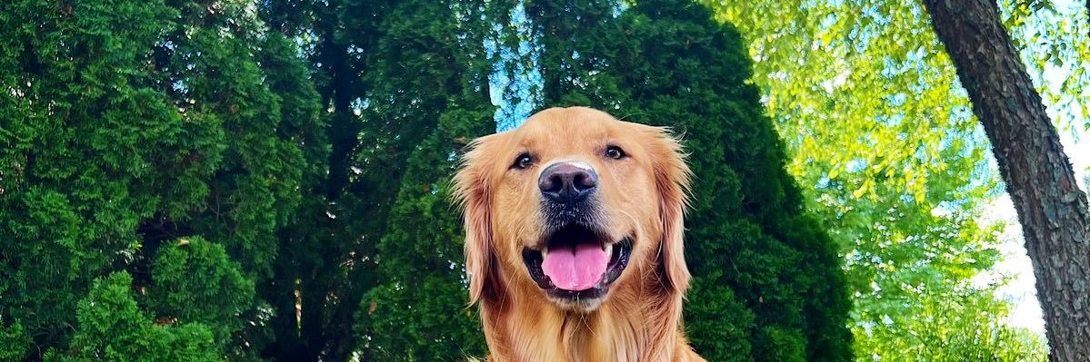 audra_bugg's profile banner image