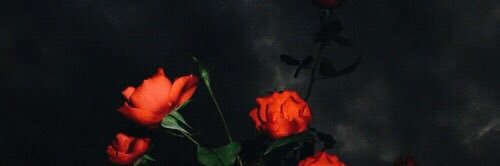 irrulevant's profile banner image