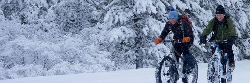 FatBikeSummit's profile banner image