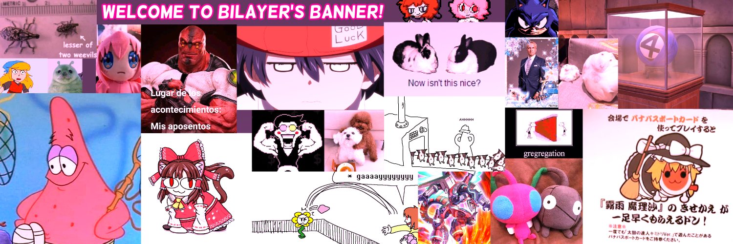 Bilayer banner