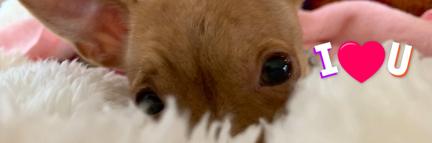 DdpEmma's profile banner image