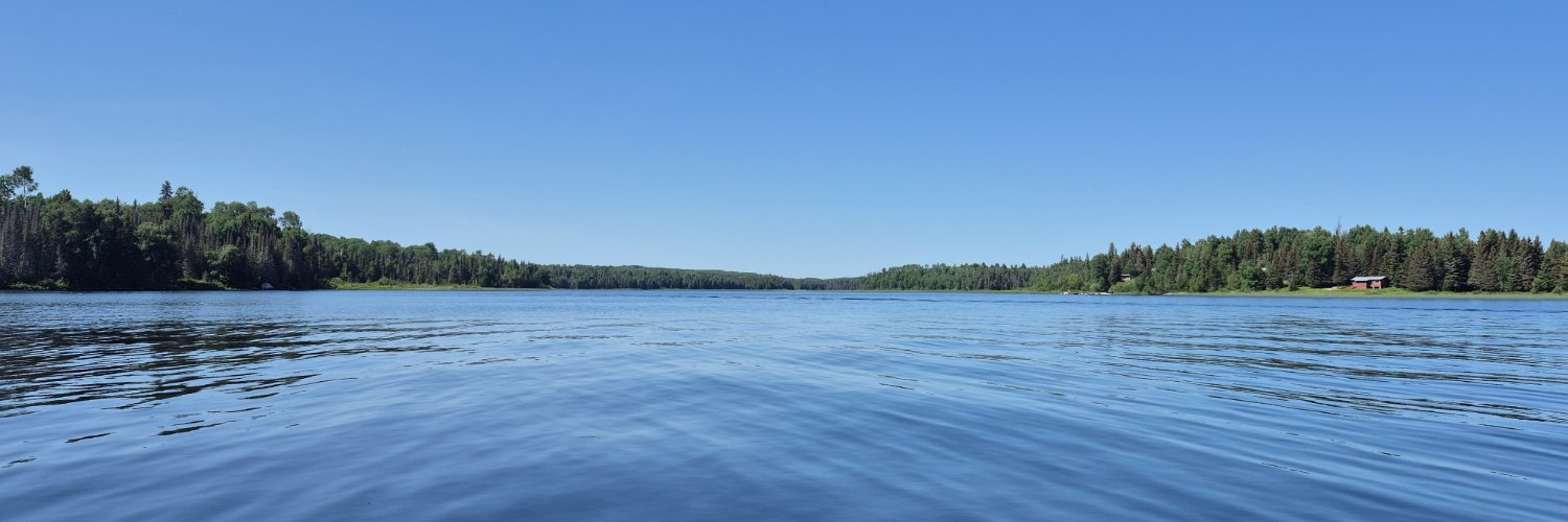 minihickey's profile banner image