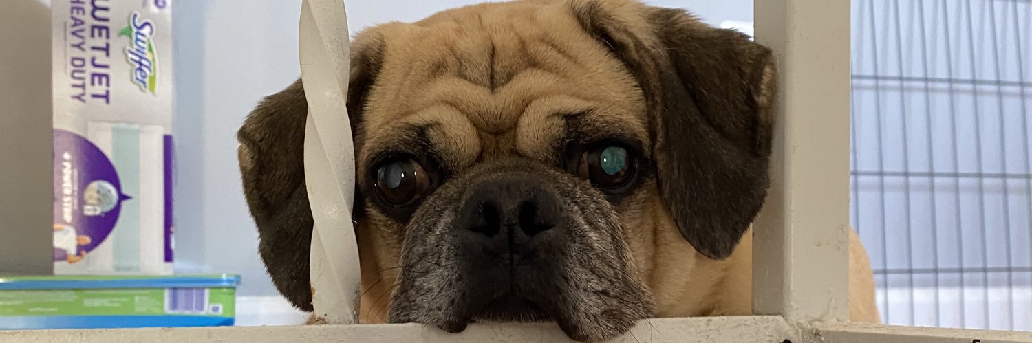 JonDKru's profile banner image