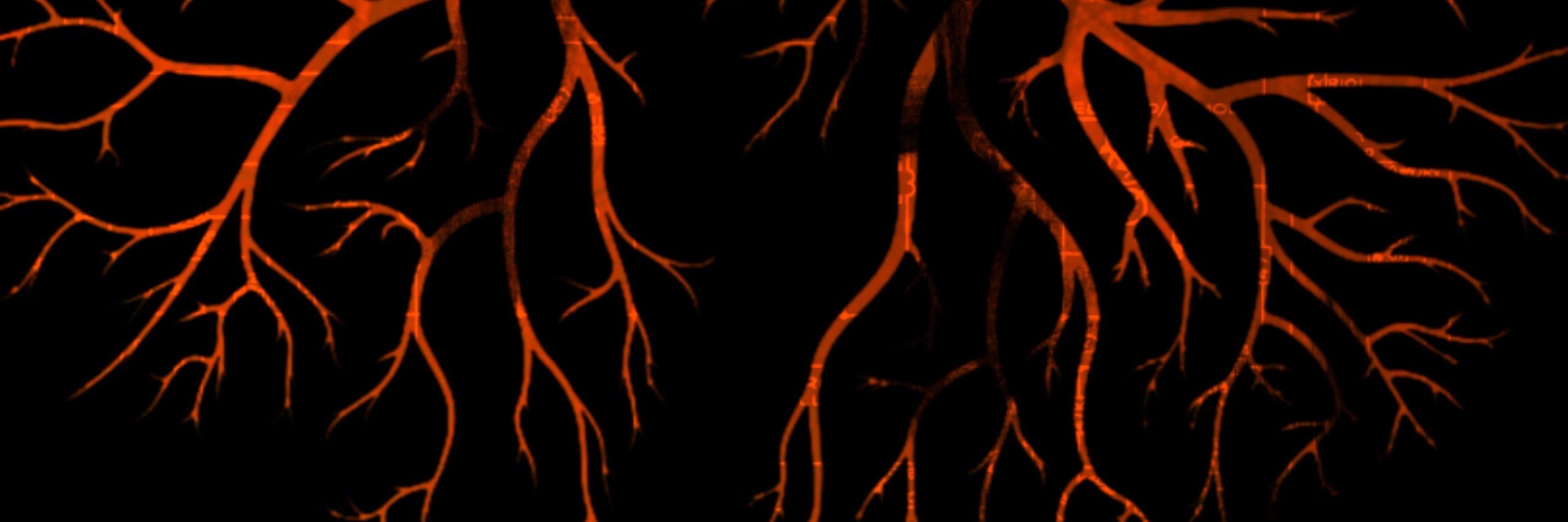 Artymous's profile banner image