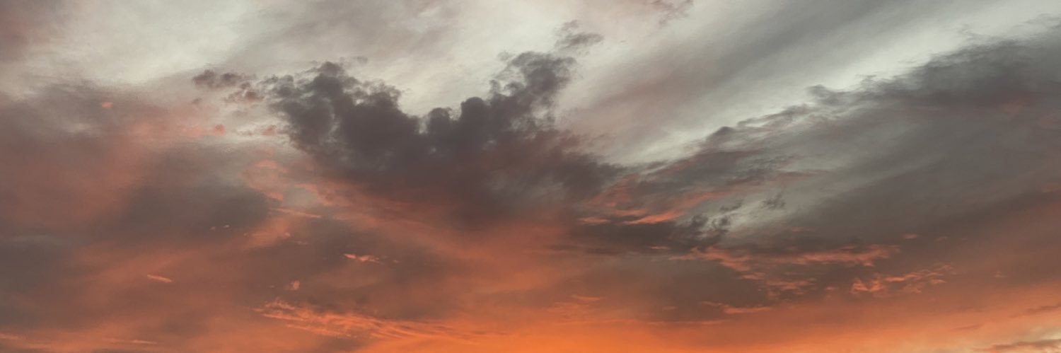 justZ1d's profile banner image