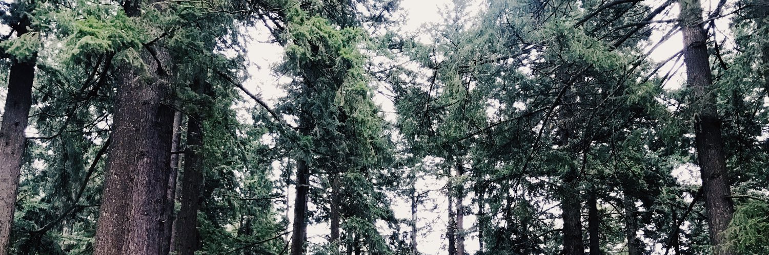 mckeenzieee's profile banner image