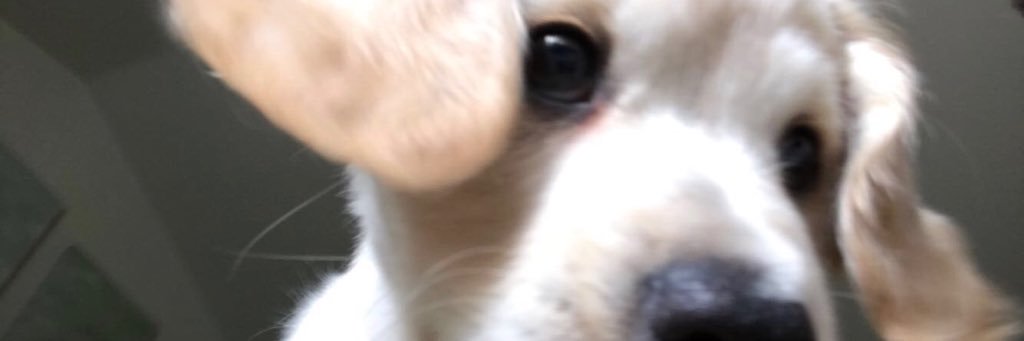 pbouch17's profile banner image