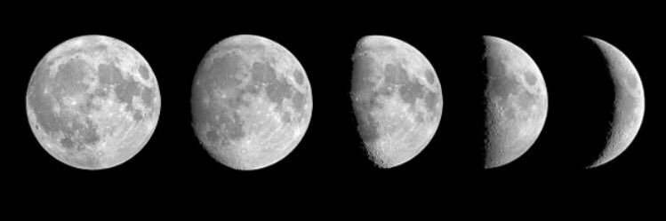 ccamilacastro1's profile banner image