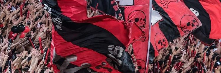 sofizok's profile banner image
