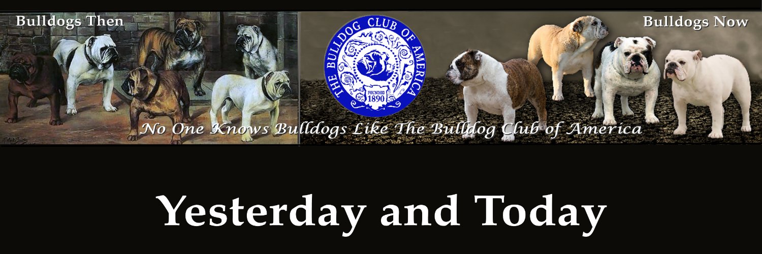 realbca's profile banner image
