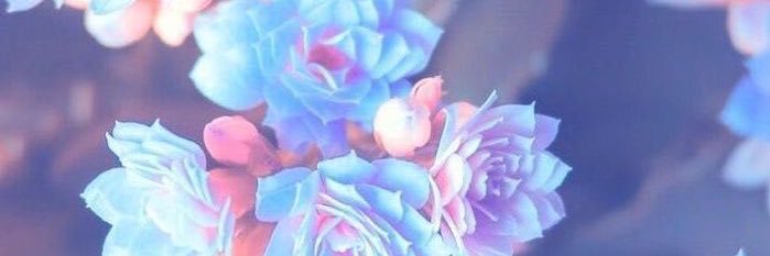 cmowrer23's profile banner image