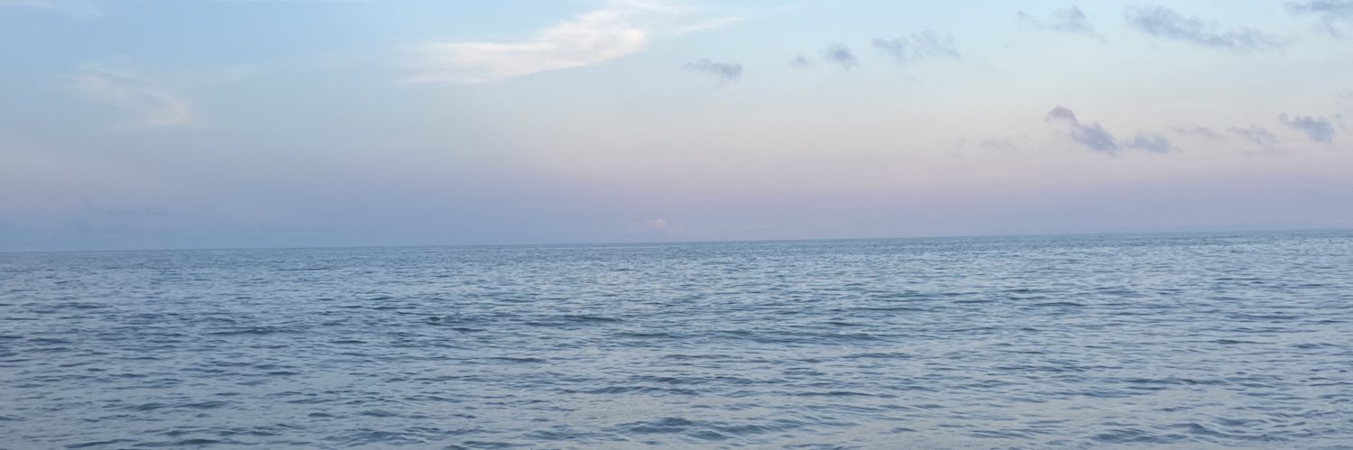 kiimhein's profile banner image