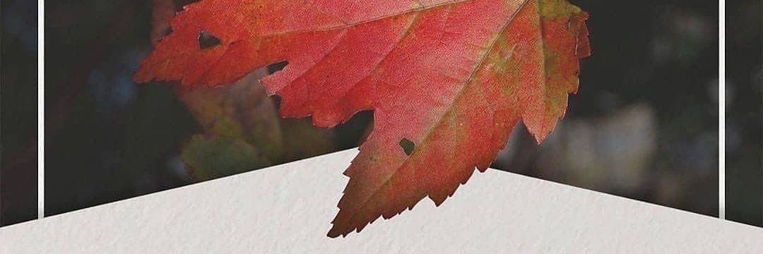 afah_lub's profile banner image