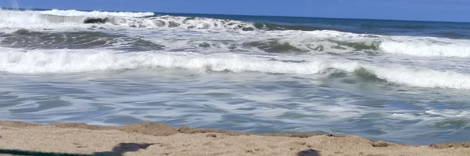 Mario_RM01's profile banner image