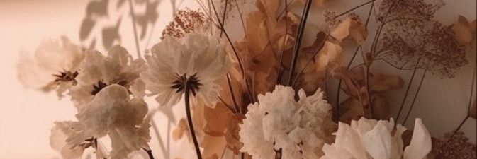 __lauup's profile banner image