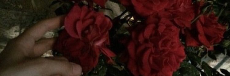 ColtonGerez's profile banner image