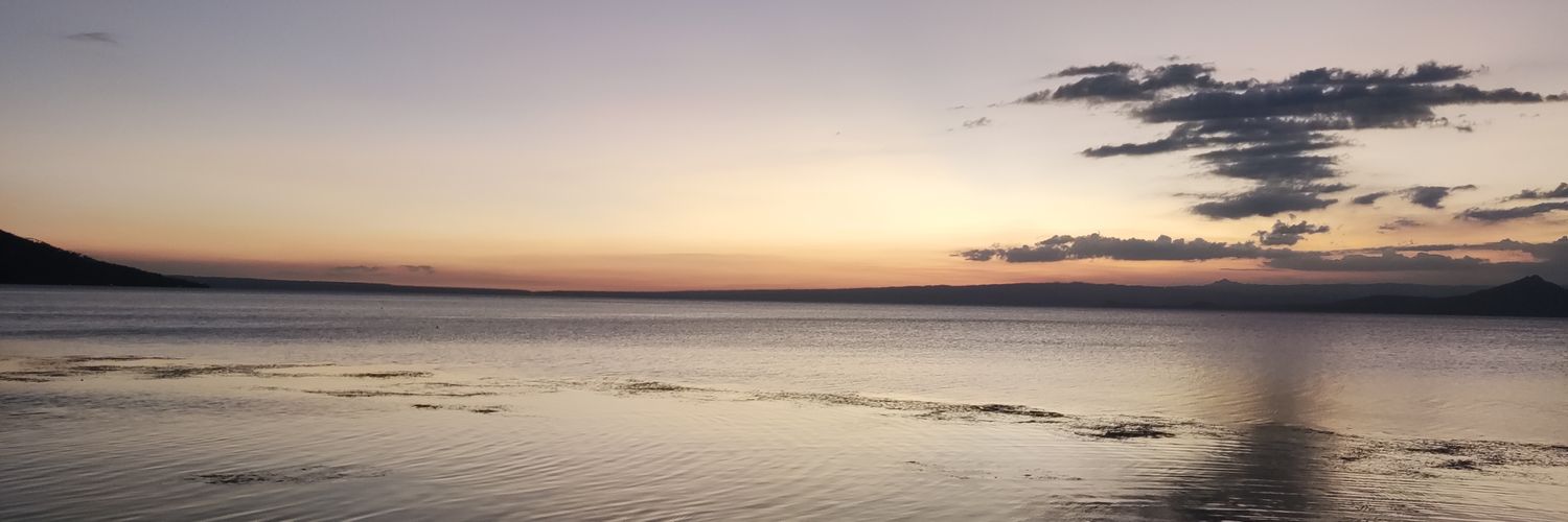 Sea Legs 🍉🌊's banner