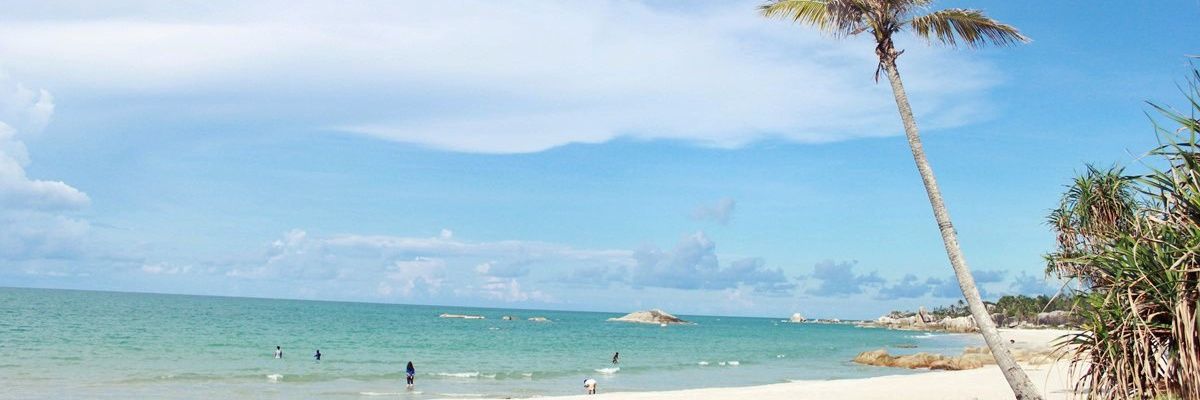 whyldadef's profile banner image