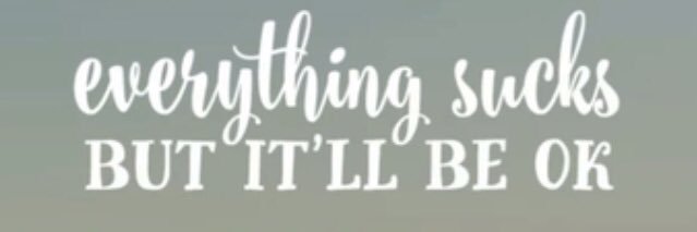 SavannahMuire's profile banner image