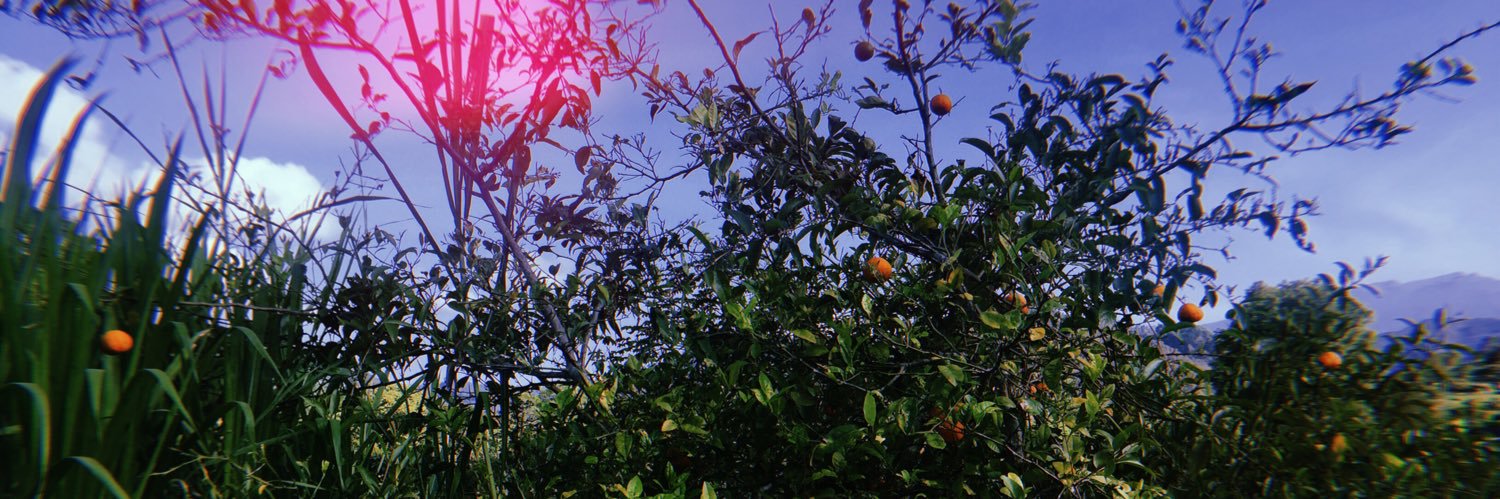 Malu_vc's profile banner image