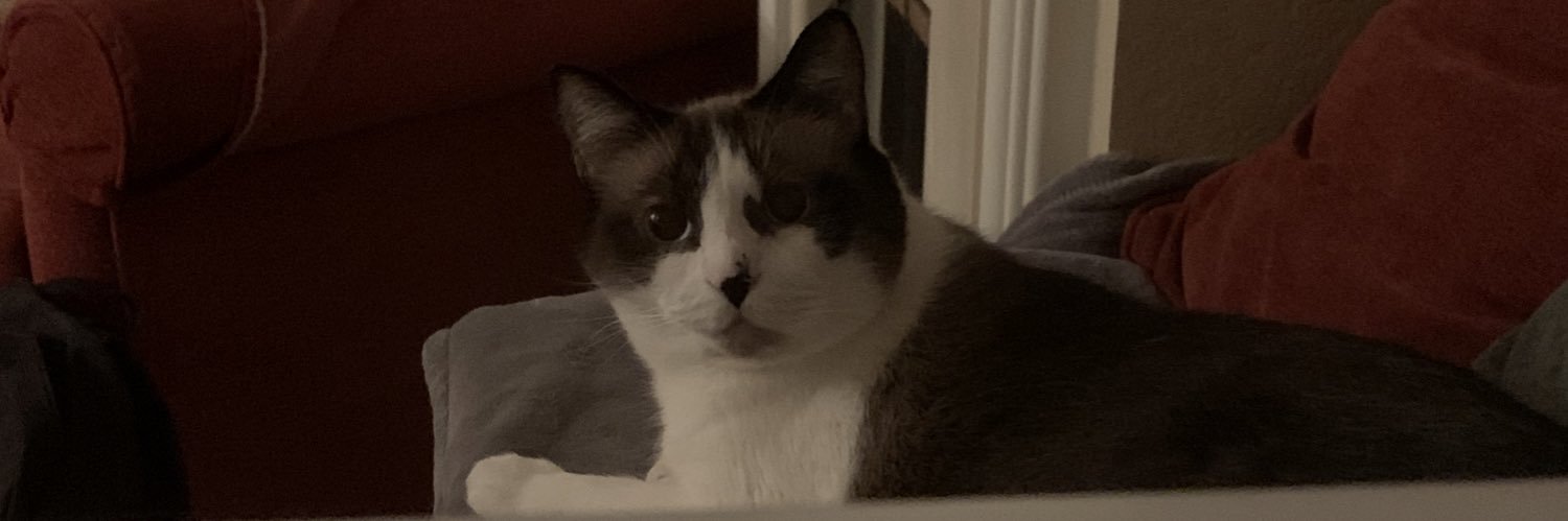 Reese Ireland (she/her) banner