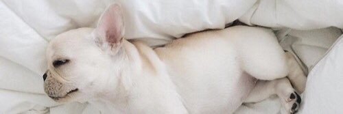 winnie_wee's profile banner image