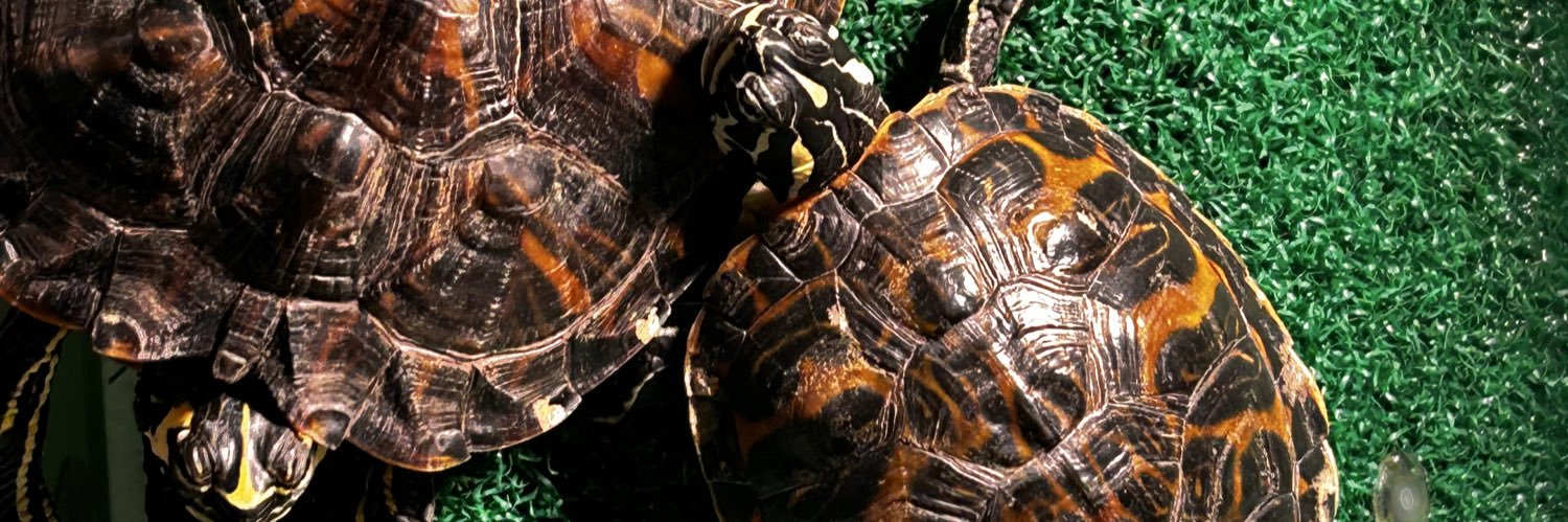 sartorialblog's profile banner image