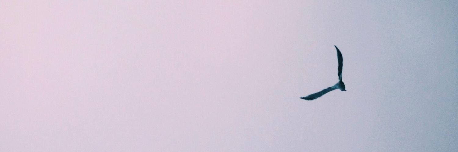 drewish's profile banner image