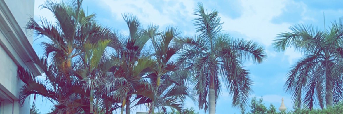 ban_1515's profile banner image