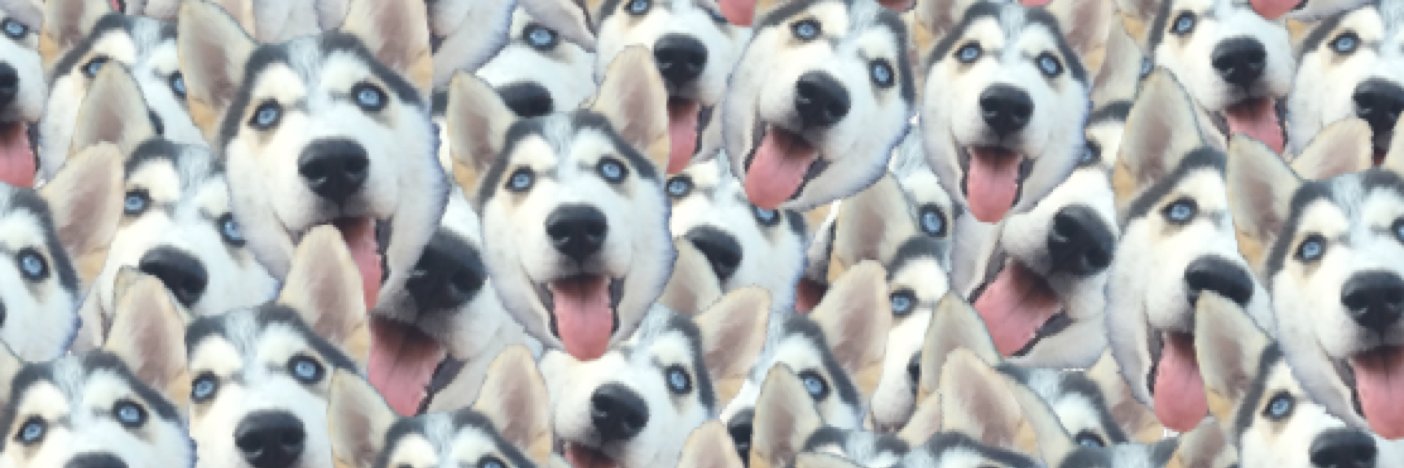 nedsed_'s profile banner image