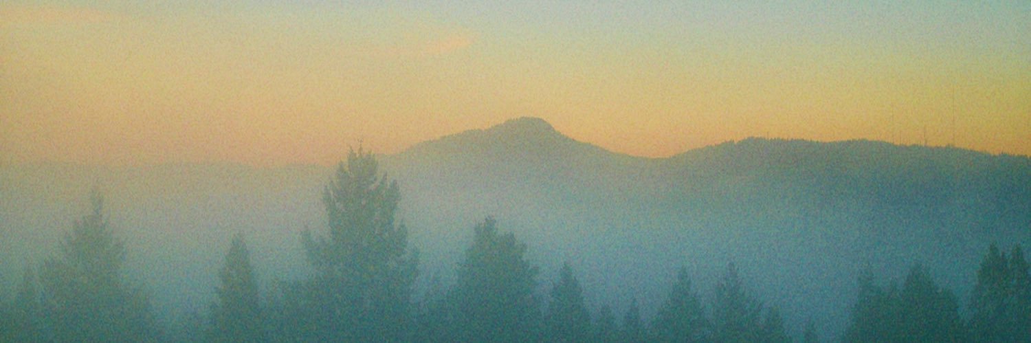 julia banner