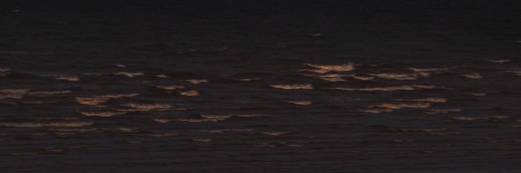 ม๋ ⊙⊝⊜ banner