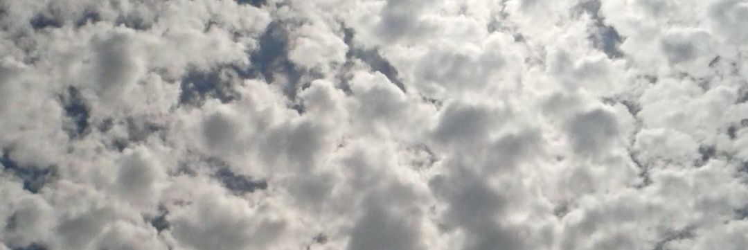 はる banner