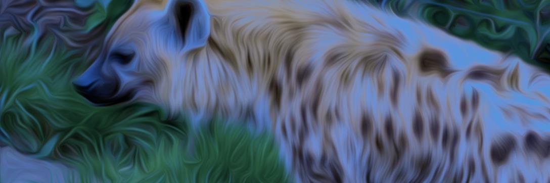 RecklessDriver's profile banner image