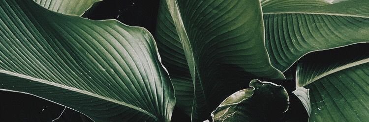 desaap's profile banner image