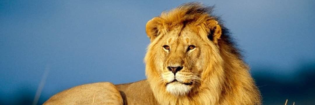 Waheed_Khattna's profile banner image