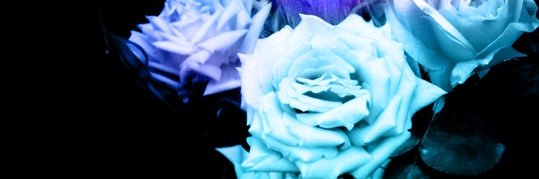 ひなき(取引) banner